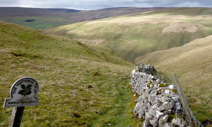 Three Dales Way: Cowside